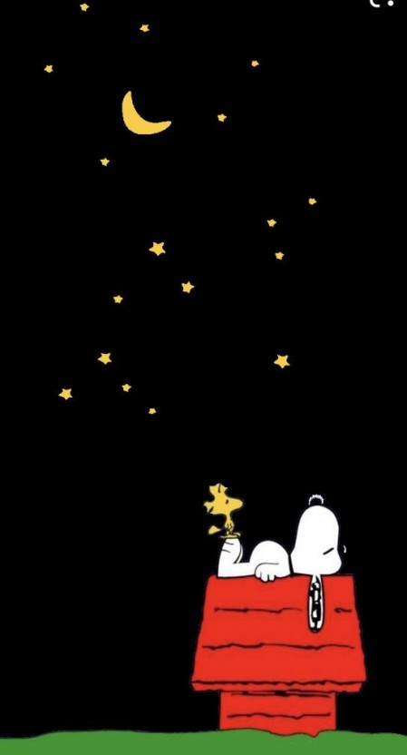 snoopy wallpaper 0053