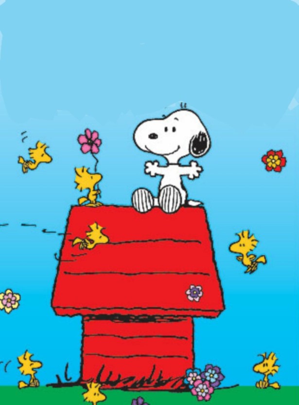 snoopy wallpaper 0080