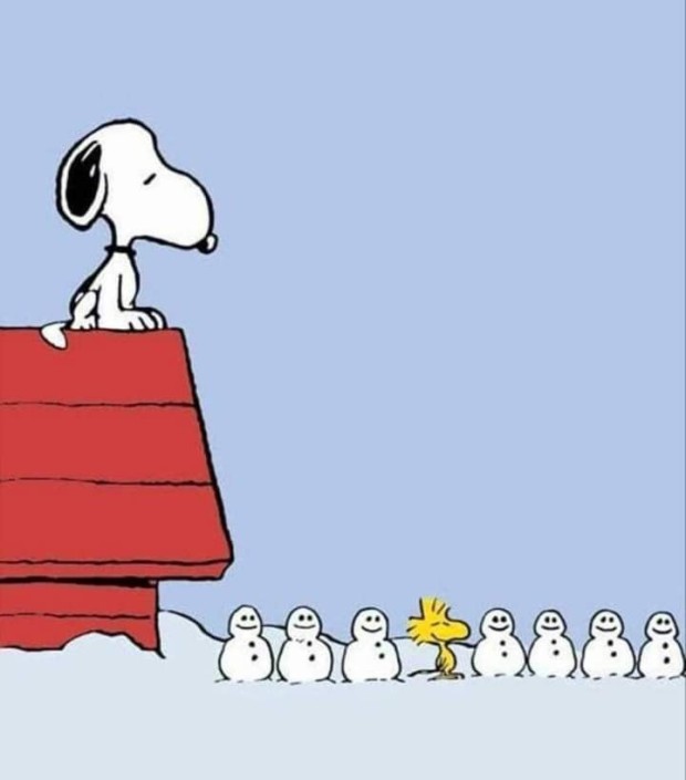 snoopy wallpaper 0081