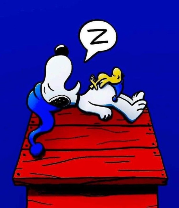 snoopy wallpaper 0084