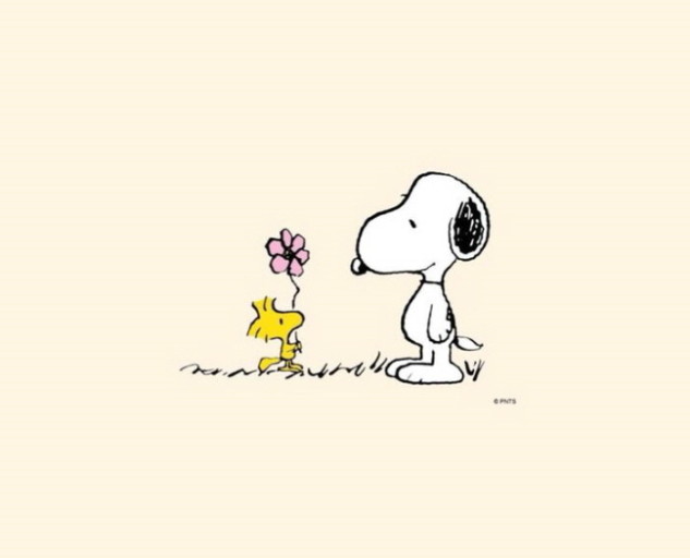 snoopy wallpaper 0085