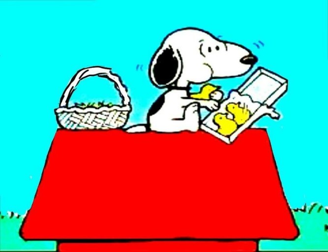 snoopy wallpaper 0098