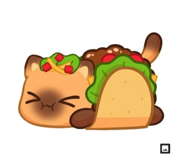 taco wallpaper 0075