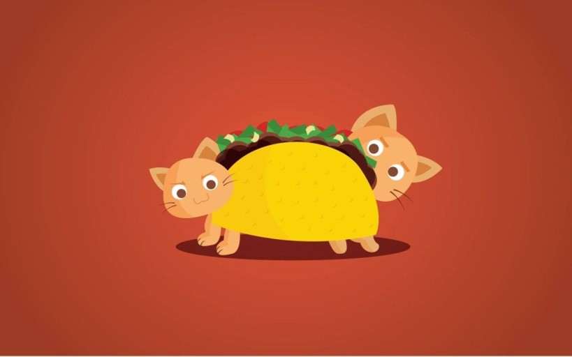 taco wallpaper 0077