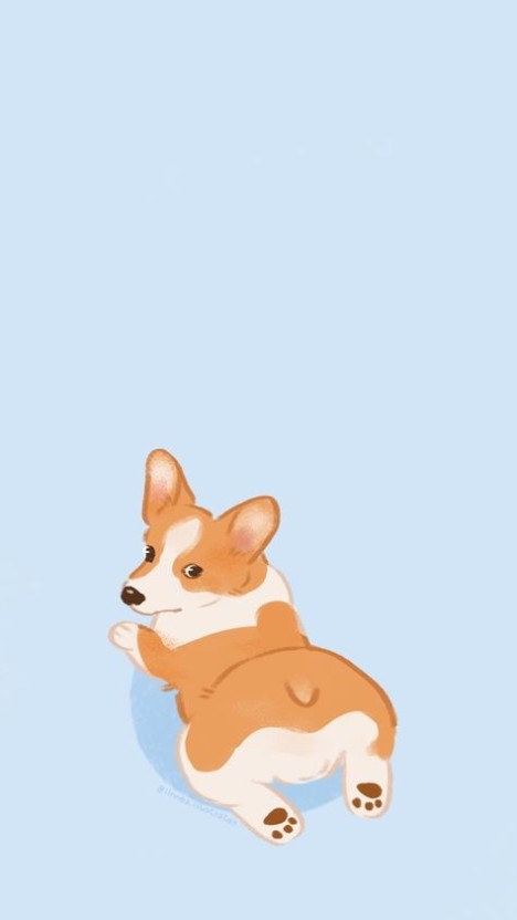 unique corgi wallpapers for your desktop