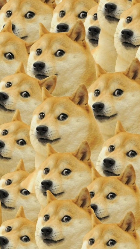 unique dog meme wallpaper