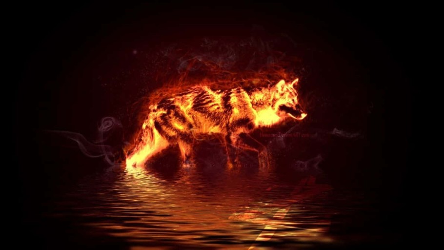 unique epic fire wolf wallpaper options