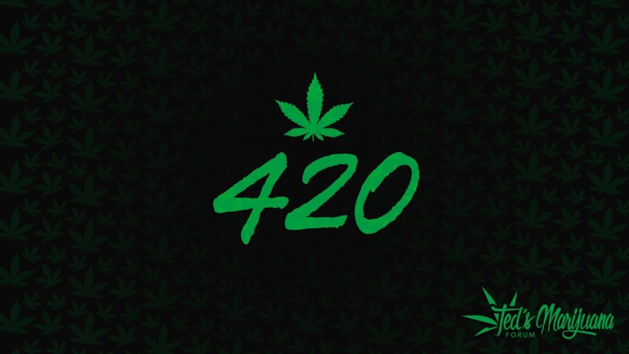 vibrant 420 wallpaper designs