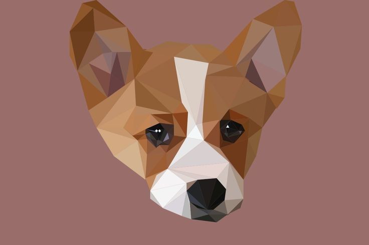 wallpaper corgi 0027