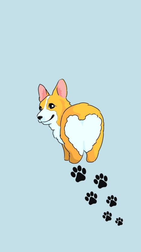 wallpaper corgi 0031