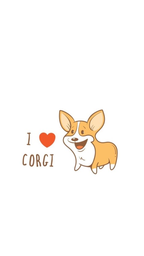 wallpaper corgi 0044