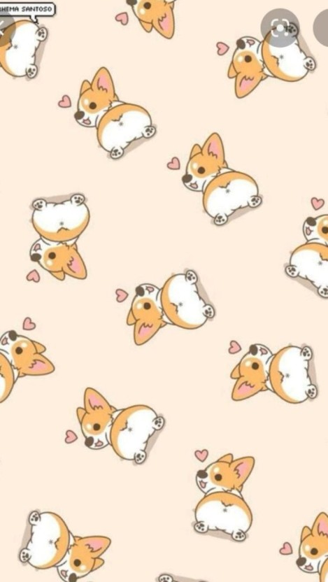 wallpaper corgi 0048