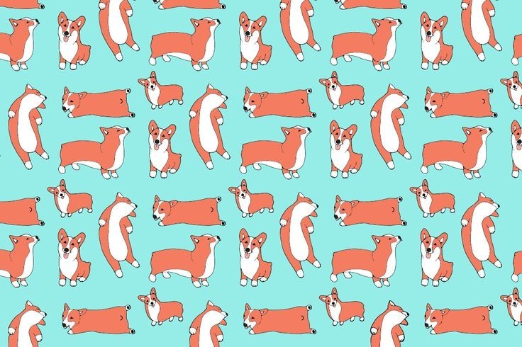 wallpaper corgi 0063