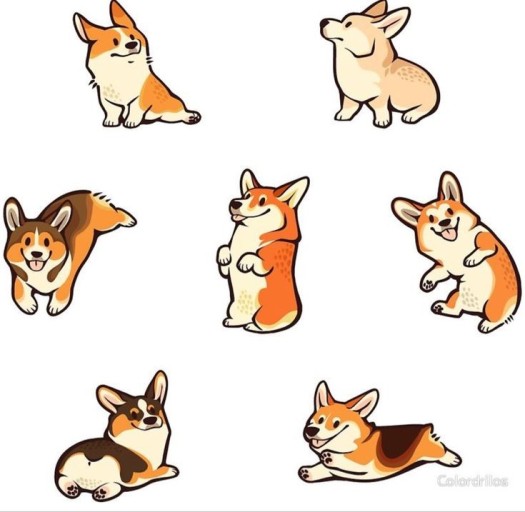 wallpaper corgi 0064