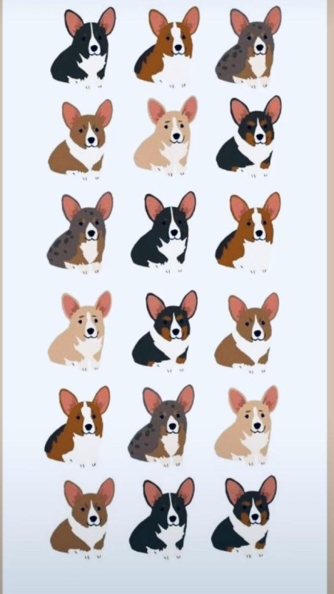 wallpaper corgi 0074