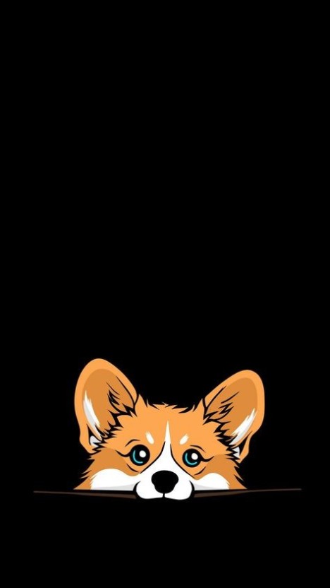 wallpaper corgi 0075