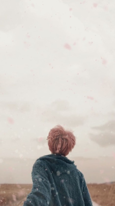 wallpaper jimin 0045