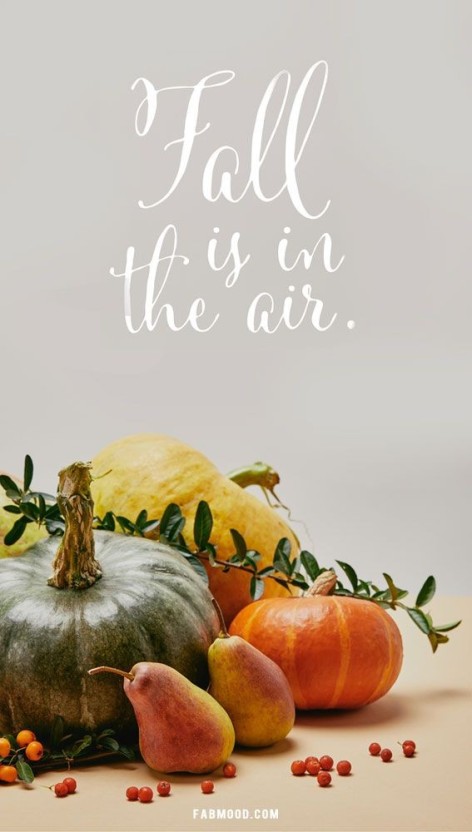 whimsical pumpkin screensaver